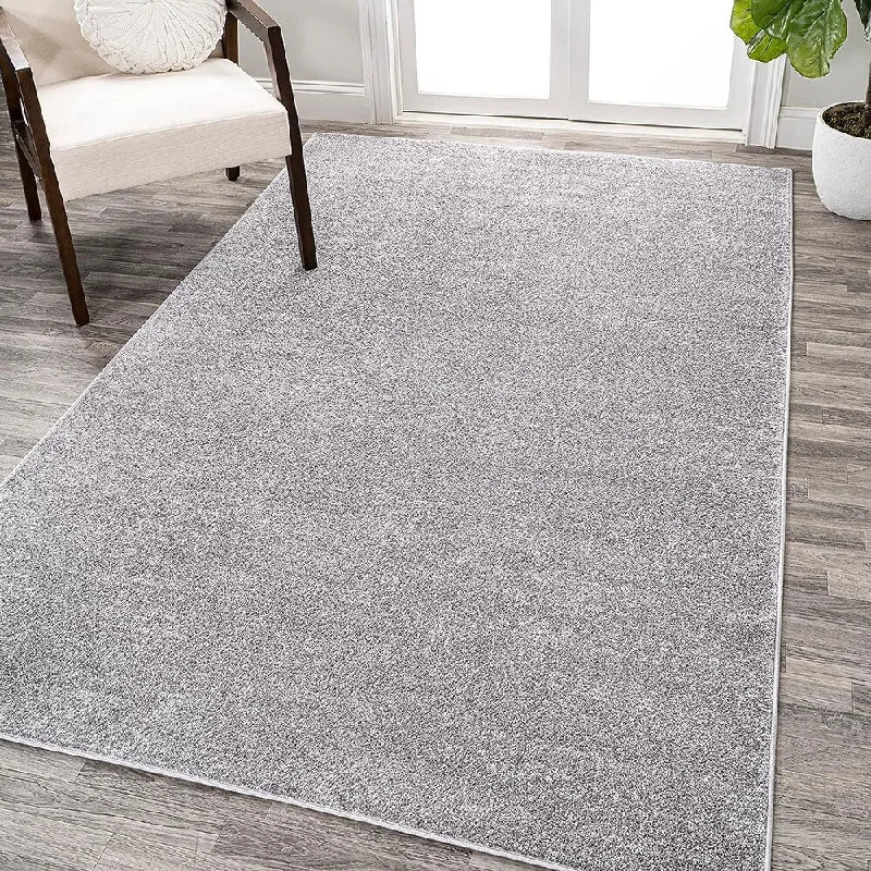 Casual Contemporary Rug 4 ft x 6 ft, Grey